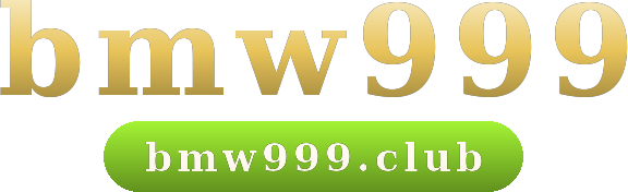 bmw999 logo